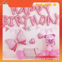 Sét Bóng Sinh Nhật Cho Bé Tuổi Heo
