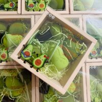 Set bông trang điểm quả Bơ 4 món