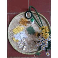 set cánh hoa cúc tana