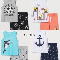 Set cây dừa c yến ngọc