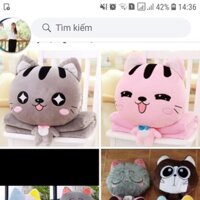 Set chăn văn phòng