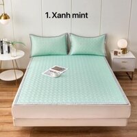 SET CHIẾU + 2 VỎ GỐI ĐIỀU HÒA CAO SU NON KAPPA