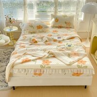 sét chiếu cao su bo chun 4 món chăn ga gối,bộ chiếu điều hòa bọc chun vó viền bèo ren trắng và chăn đi kèm