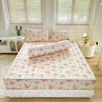 Set chiếu cao su bo chun Vip 6D