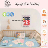 Set chiếu điều hòa kèm gối có ruột bông cho bé - thảm lót nôi điều hòa cho bé thông hơi, thoáng khí - [THỎ DÂU NGÔI SAO]