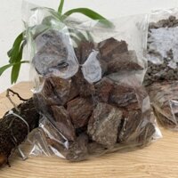 Set cho10-15 Chậu giá thể trồng lan đầy đủ S15GT