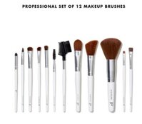 Set cọ ELF Professional Brush Kit 12 cây