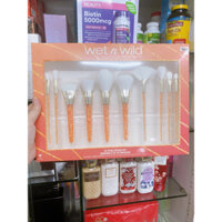 Set cọ trang điểm Wet n Wild (10 cây) - USA