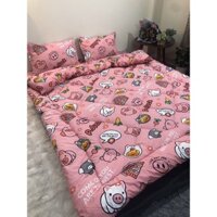 SÉT COMBO ĐỦ 4 MÓN CHĂN PHAO SIÊU NHẸ GA GỐI SIÊU ẤM MẪU LỢN HỒNG