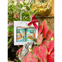 Set Combo Quà Tặng Mua 2 Lon Sữa Hạt Beli Tặng 01 Bột Canh Canxi Hữu Cơ Chiết Xuất Từ Vỏ Trứng Gà DDA Beli Sài Gòn