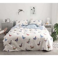 Set Cotton Đàn Vịt Xanh Trắng Bộ Chăn Ga Gối 4 Món