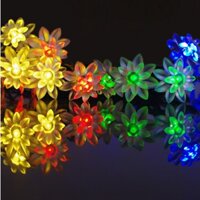 Set dây đèn Led 100 bóng hình hoa sen đẹp mắt cho trang trí