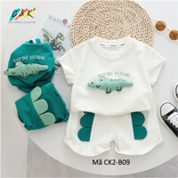 set đồ bộ Cá Sấu Thêu Tay