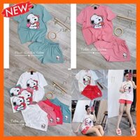 set đồ bộ đùi nữ mặc nhà vải cotton cao cấp