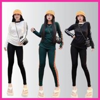 Set Đồ Bộ Nữ Dài Ôm 3 Màu Dáng Thể Thao Tay Dài Chất Thun Tăm Lạnh Co Giãn 4D 183900 (Fullsize 40 – 90Kg)