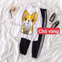 Set đồ bộ quần áo họa tiết chú chó màu vàng