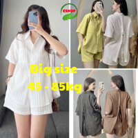 Set Đồ Nữ Đẹp Sang Chảnh Đồ Bộ Nữ Quần Đùi Áo Sơ Mi Bigsize ESHOP Đồ Mặc Nhà Bigsize 45-85kg Dễ Thương Mặc Đẹp DD01