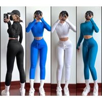 Set đồ tập Gym _ Yoga _ Quần dài _ Áo dài tay có khoá kéo cổ cao _ Kín đáo