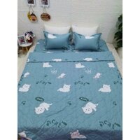 Sét ga gối 4 món 2 vỏ gối đầu,1 ga chun và 1 vỏ gối ôm