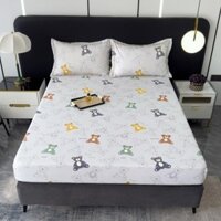 Set Ga Gối Phi Lụa Thái , Ga Bo Chun Bọc Đệm Với 3 Size Tiêu Chuẩn