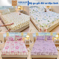 Sét ga gối trần bông chất liệu đũi kèm 2 vỏ gối ga trải giường đũi Bộ ga gối sơ đũi được chọn mẫu mới 2023