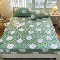 Set ga và 2 vỏ gối nỉ nhung trần bông siêu ấm, chân cao cho mọi size đệm