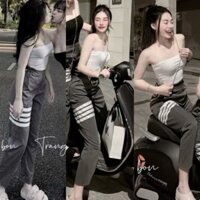 SET GÂN TĂM Áo ỐNG Quây Croptop Có Mút + Quần Jogger Viền Sọc Bo Chun