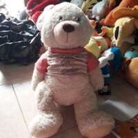 Set gấu của Kim Linh