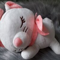 Sét gấu miniso