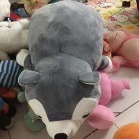 Set gấu miniso