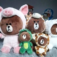 Sét gấu trúc miniso