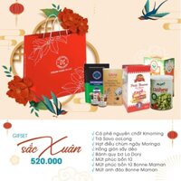 Set Giỏ/túi quà tết Sắc Xuân - nông sản Việt Nam xuất Khẩu Kphucsinh 2022 mã 004