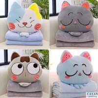 Set gối 2 trong 1