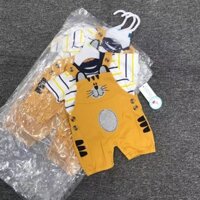 Sét hổ yếm hổ vàng xuất dư sịn