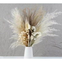 set hoa cỏ lau khô mix hoa baby để bàn bắc âu, hoa khô trang trí nhà cửa