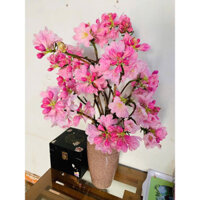 sét hoa đỗ quyên Hồng