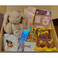 SET HỘP QUÀ TẶNG màu nâu Thỏ Jellycat xinh xĩu (kèm túi + thiệp) ✨