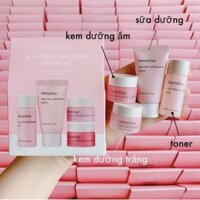 Set innisfree mini hoa anh đào