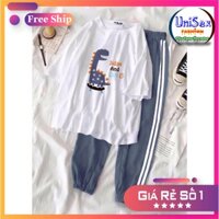 Set Jogger Line Phối Thun Unisex Jidax And Dino S18 - Set Áo Thun Tay Lỡ In Nhiệt Unisex Form Rộng Và Quần Thể Thao 75kg