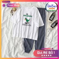 Set Jogger Line Unisex Dnosaur S2 - Set Áo Thun Tay Lỡ In Nhiệt Unisex Form Rộng Và Quần Thể Thao 75kg