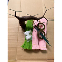 Set làm bonsai Hoa Mai Đào kẽm Nhung Thân đổ