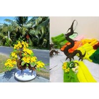 SET LÀM CÂY MAI ĐÀO BONSAI KẼM NHUNG