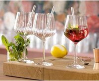 Set ly Nachtmann Tastes Good Gin & Tonic Set/4+4 103143 kèm ống hút