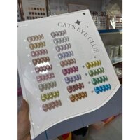 Sét mắt mèo 22 màu tặng bảng màu