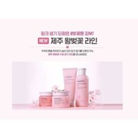 Set mini INNISFREE