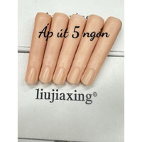 Set ngón tay đá 5 ngón 5 size, 5 ngón áp út