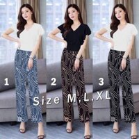 Set nguyên bộ áo tay cánh tiên quần phối họa tiết xinh xắn