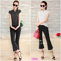 Set nguyên bộ quần dài áo chấm bi VJ339 -V175