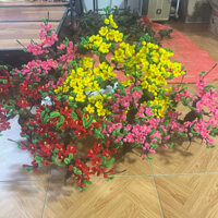 Set nguyên liệu làm cây mai/đào/quất kẽm nhung