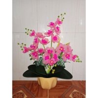 Set nguyên liệu làm hoa lan pha lê